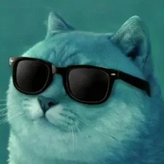 Teal cat in sunglasses, pop-art style