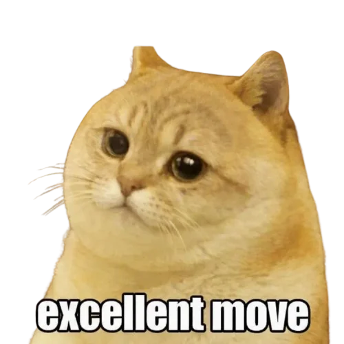 Smug ginger cat meme captioned 'excellent move'