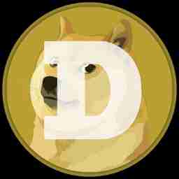 Dogecoin coin logo stored on Dogecoin